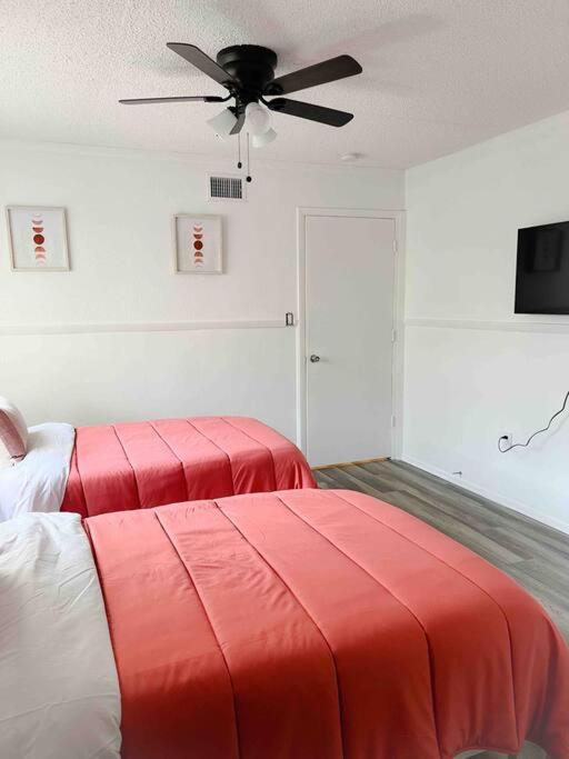 Sparkling Guest Home 2 Bedroom-15 Minutes To Clearwater Beach Exterior foto